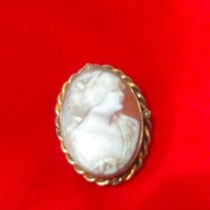 A cameo pin